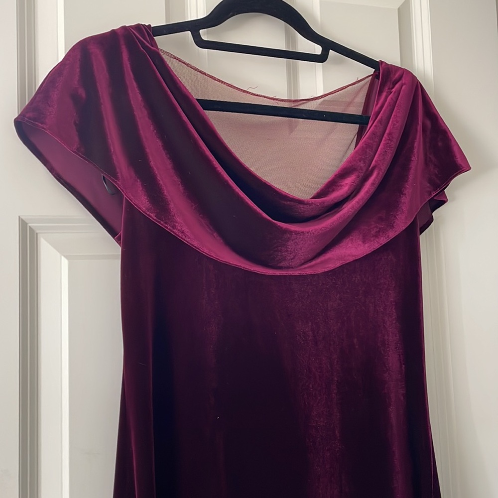Stunning Burgundy Velvet Dress
